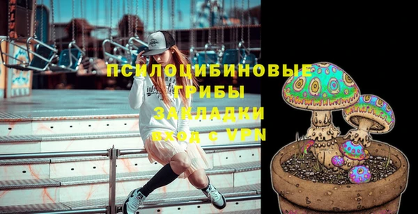 марки lsd Абаза