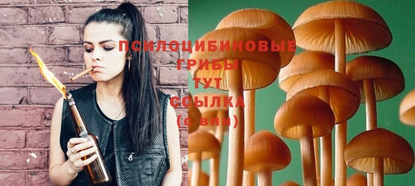 бошки Абинск