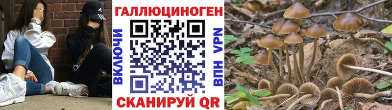 купить закладку  Ухта  Псилоцибиновые грибы мухоморы 