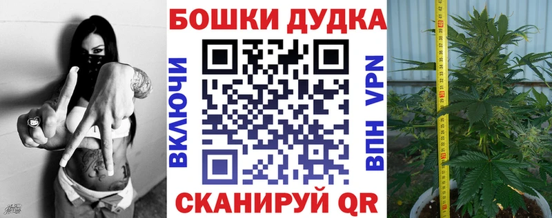 купить наркоту  Ухта  Бошки марихуана план 